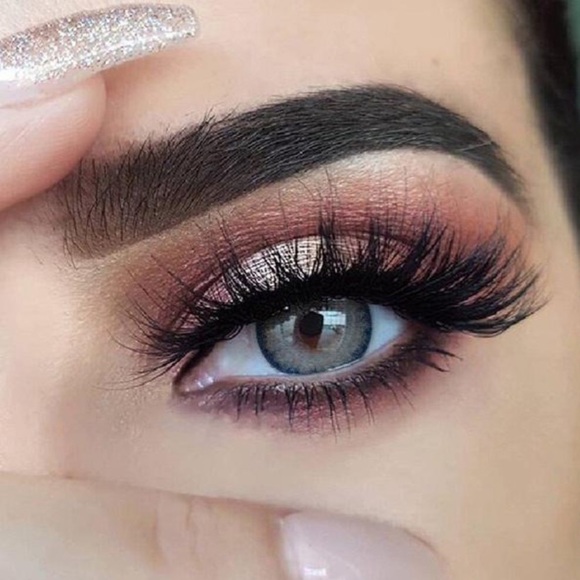 Pro Blue Serie - Picture 8 of 11